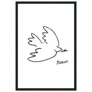 Pablo Picasso Dove of Peace Line Artwork Poster - Matte / 12 x 18″ (30 x 45cm) / Black - Poster