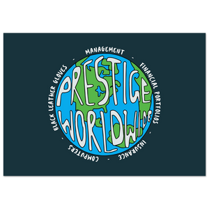 Prestige Worldwide Step Brothers Movie Poster - Matte / 8 x 12″ (21 29.7cm) None