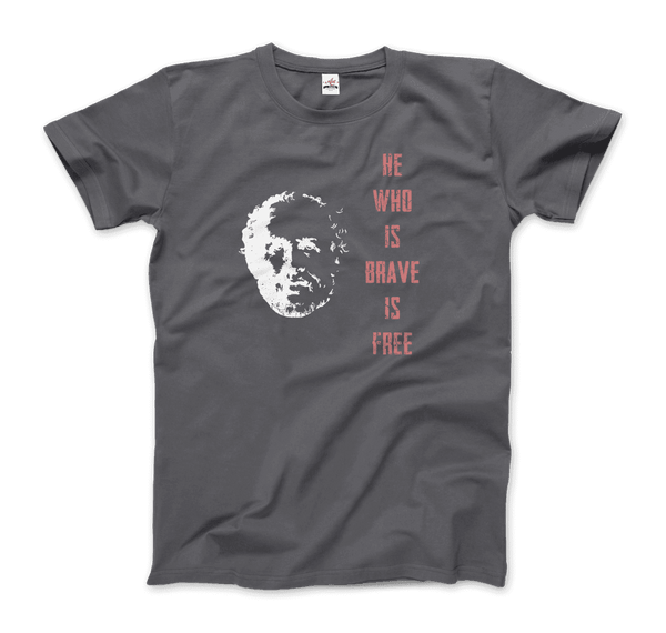 Seneca Famous Stoic Quote- He Who is Brave is Free - T-Shirt - Men / Charcoal / S - T-Shirt