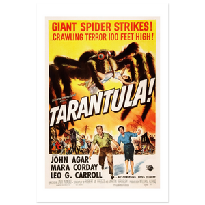 Tarantula - 50s Si - Fi horror Movie Poster Matte / 12 x 18″ (30 45cm) None