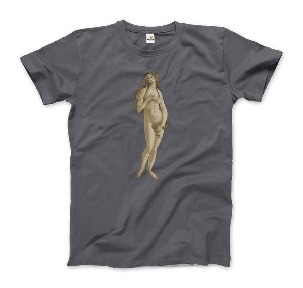 Sandro Botticelli - Venus (from The Birth of Venus) Artwork T-Shirt - Men / Charcoal / Small - T-Shirt